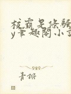校霸是条骚狗by笔趣阁小说