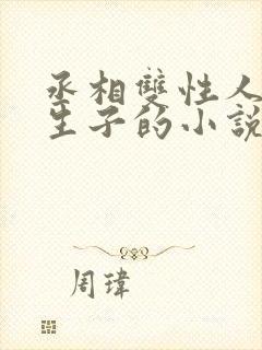 丞相双性人是受生子的小说