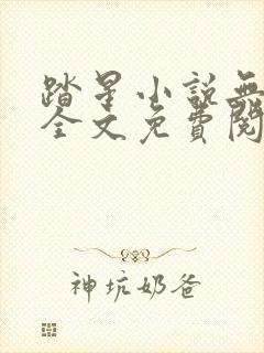 踏星小说无弹窗全文免费阅读