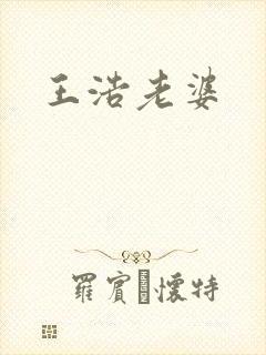王浩老婆封面