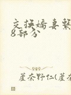 交换娇妻系列38部分