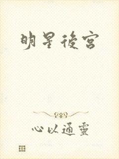 明星后宫封面