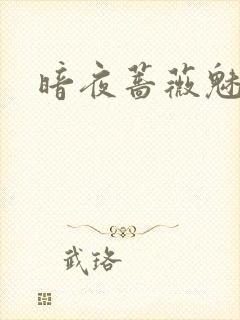 暗夜蔷薇魅