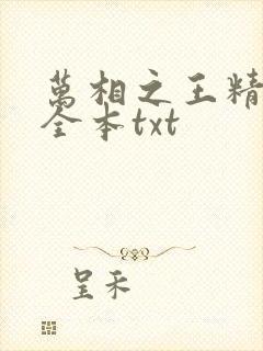 万相之王精校版全本txt