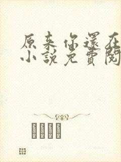 原来你还在这里小说免费阅读