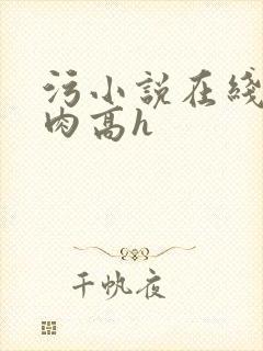 污小说在线阅读肉高h