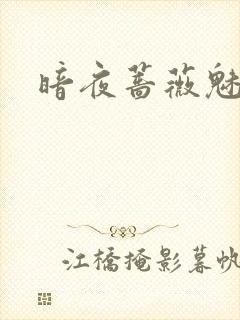 暗夜蔷薇魅