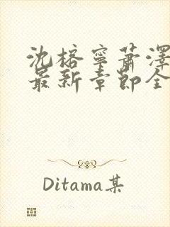 沈榕宁萧泽小说最新章节全文阅读