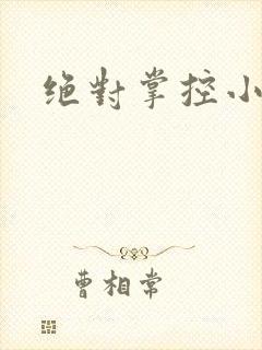绝对掌控小说