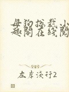 母狗总裁小说笔趣阁在线阅读