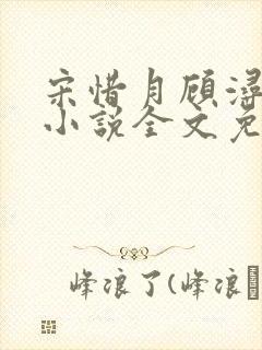 宋惜月顾浔渊的小说全文免费阅读