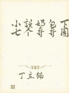 小说奶包下山:七个哥哥团宠我阅读封面