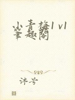 小青梅1 v1笔趣阁封面