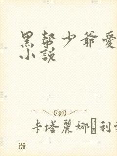 黑帮少爷爱上我小说