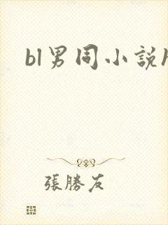 bl男同小说h