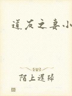 道友之妻小说