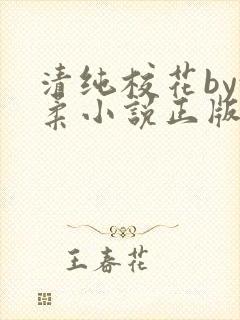 清纯校花by沈柔小说正版封面