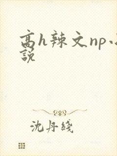 高h辣文np小说