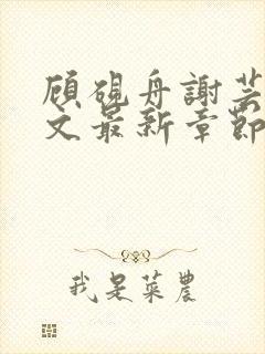 顾砚舟谢芸琛全文最新章节免费阅读封面
