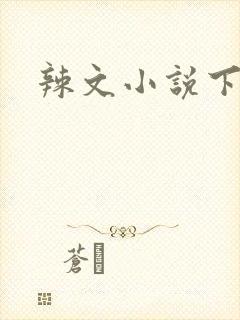 辣文小说下载