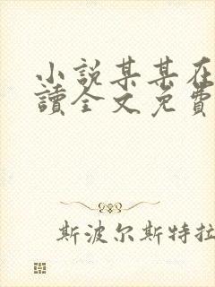 小说某某在线阅读全文免费