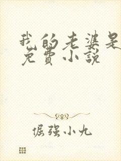 我的老婆是总裁免费小说封面