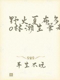 野火夏布多昂po林潮生笔趣阁
