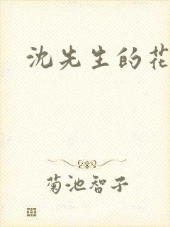 沈先生的花式