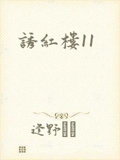 诱红楼11