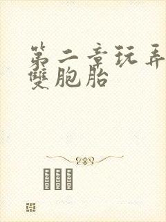 第二章玩弄少妇双胞胎