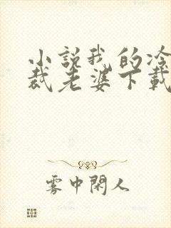 小说我的冷艳总裁老婆下载