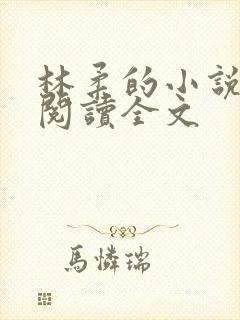 林柔的小说在线阅读全文