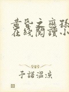 黄昏之恋孙雨菲在线阅读小说封面