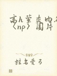 高h荤爽肉欲文〈np〉图片