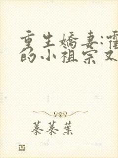 重生娇妻:霍爷的小祖宗又撒娇了