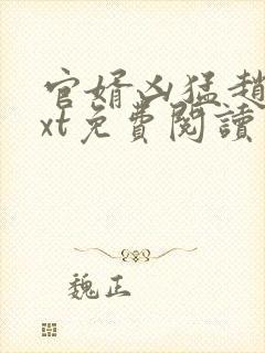 官婿凶猛赵阳txt免费阅读