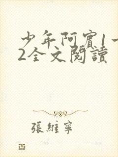 少年阿宾1一72全文阅读
