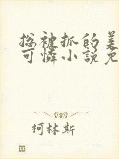 总被抓的美貌小可怜小说免费阅读