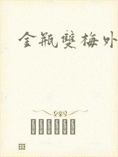 金瓶双梅外传封面