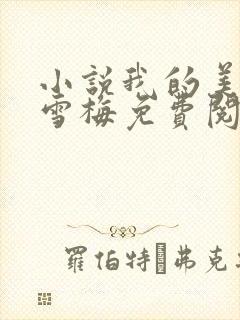 小说我的美艳李雪梅免费阅读封面