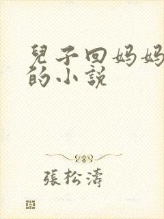 儿子回妈妈老家的小说封面