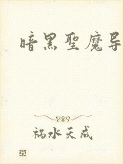 暗黑圣魔导封面