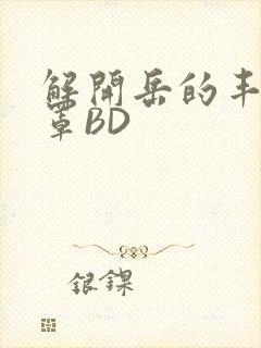 解开岳的丰满奶罩BD