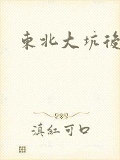 东北大坑后续2