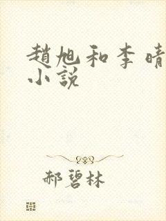 赵旭和李晴晴的小说