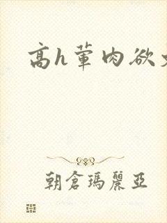 高h荤肉欲文