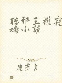 听邪王权宠掌心娇小说封面