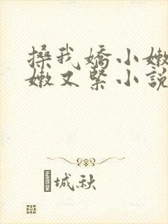 搡我娇小嫩苞又嫩又紧小说封面