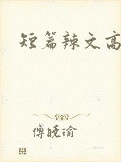 短篇辣文高h