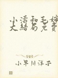 小涛和毛婶小说大结局免费阅读全文